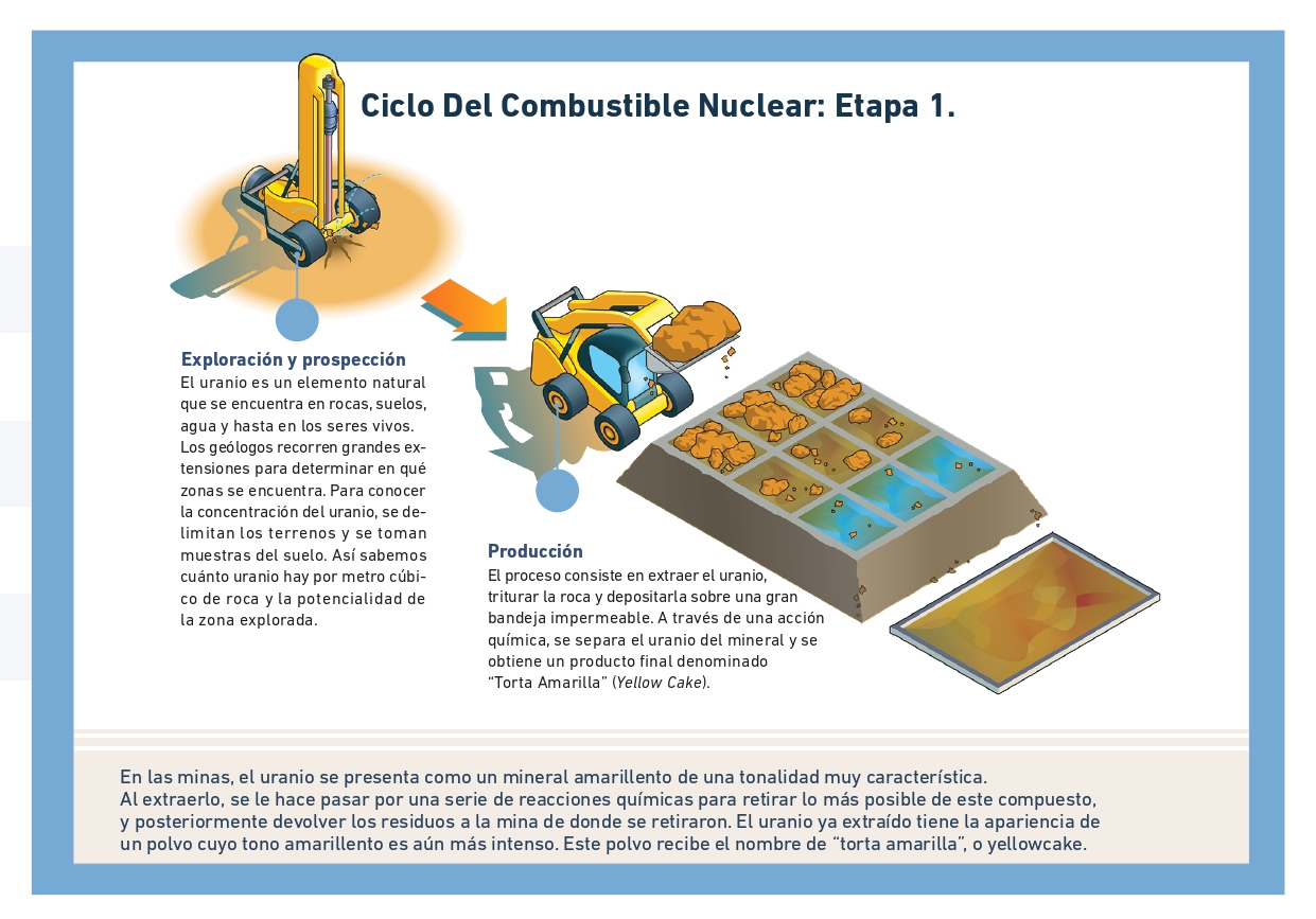 CCN2