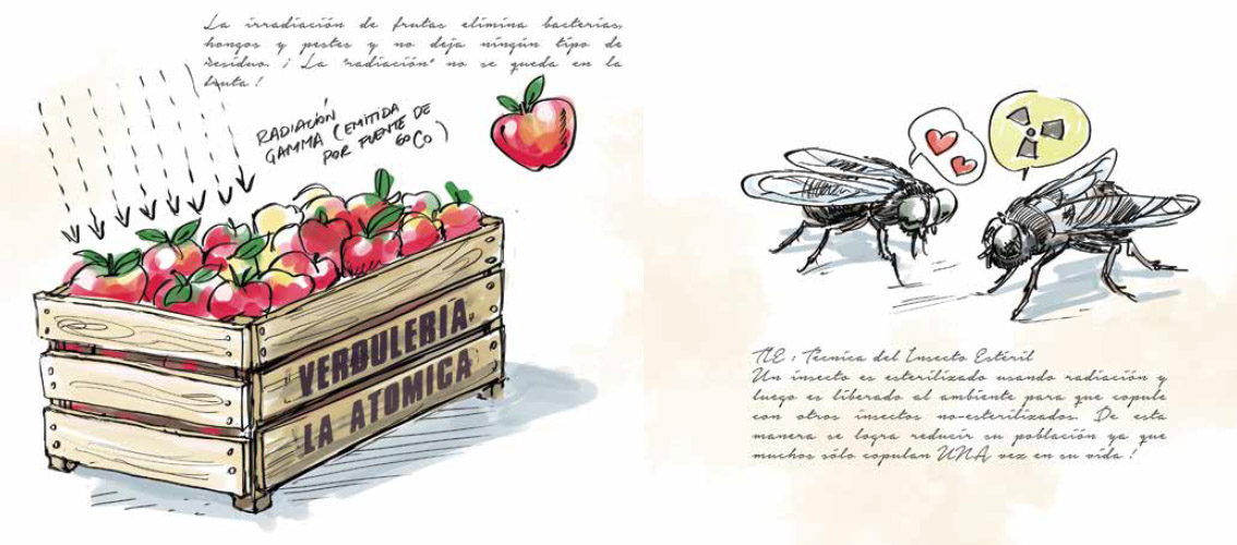 Imagen10