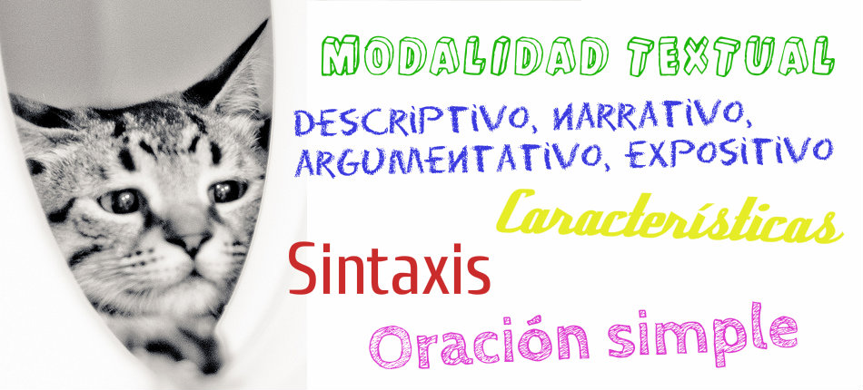 Cartela tarea