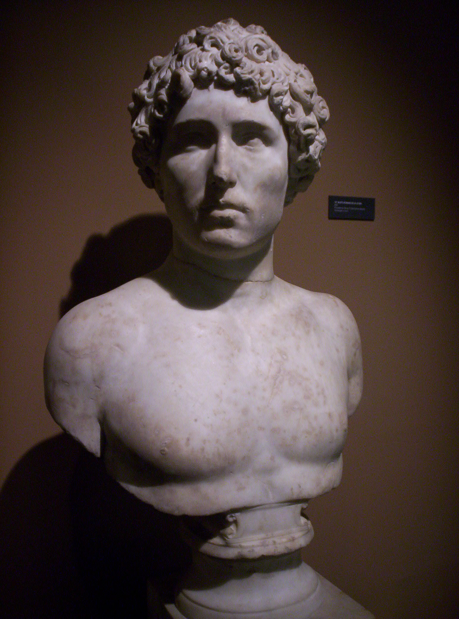 Busto romano de un joven