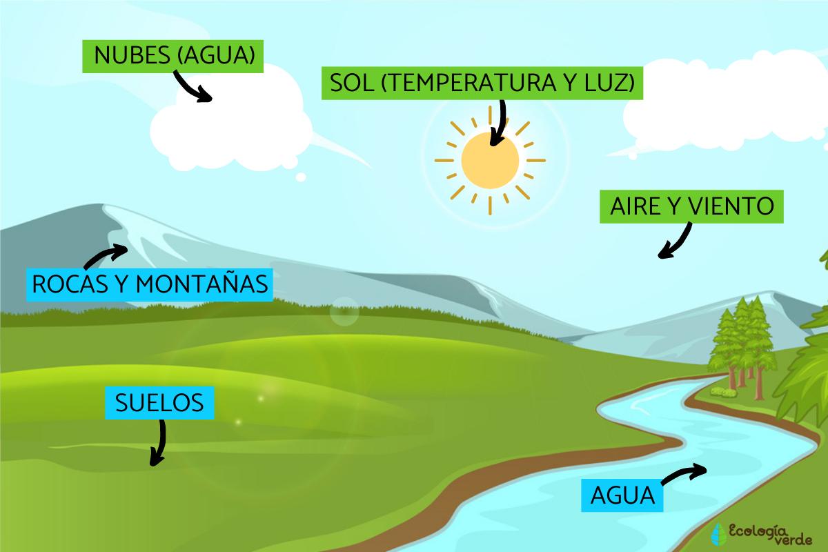 Elementos Del Ecosistema | EL ECOSISTEMA TERRESTRE