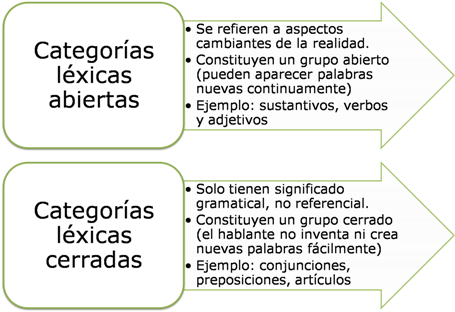 Categorías léxicas abiertas y cerradas