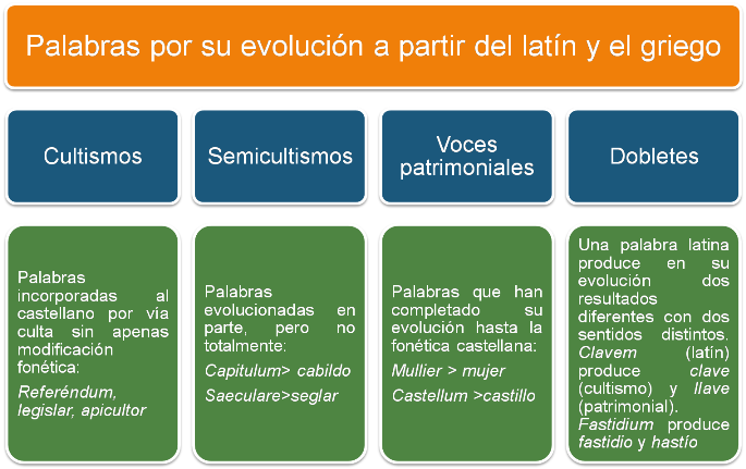 Cultismos, semicultimos, voces patrimoniales y dobletes