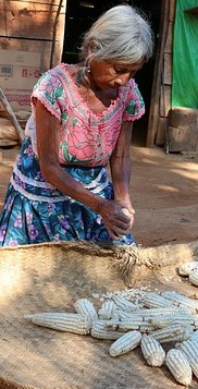 Retrato de una mujer indígena mexicana