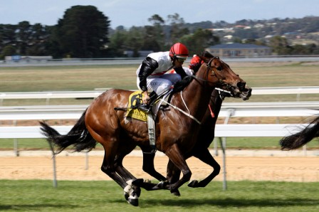 Derby: carreras de caballos