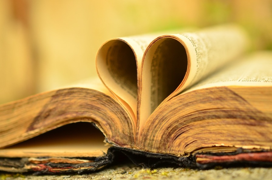 Libro representando el amor por las palabras
