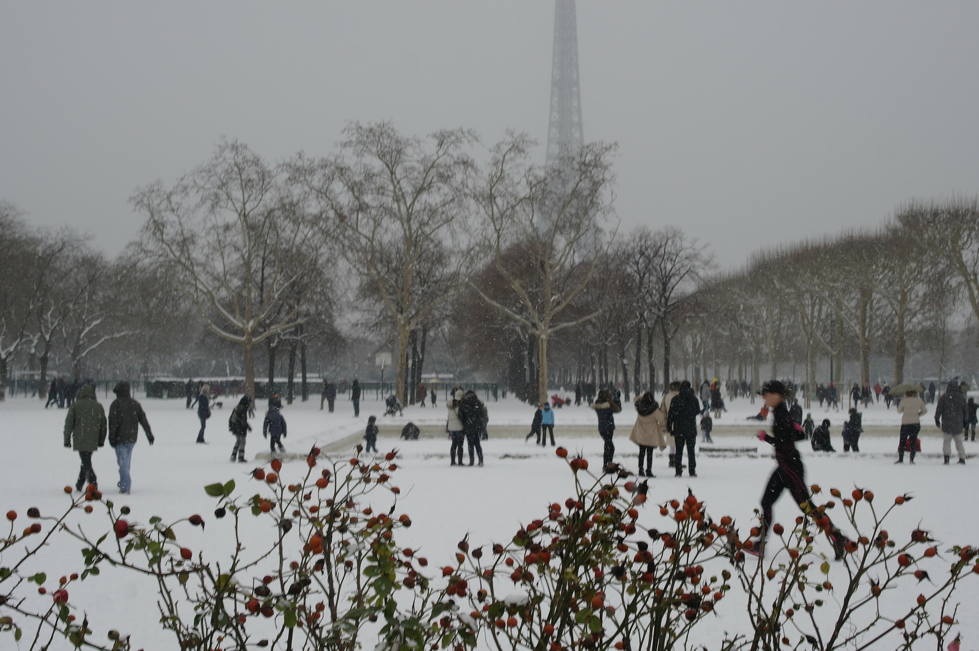 Parque de París nevado con la Torre Eiffel de fondo