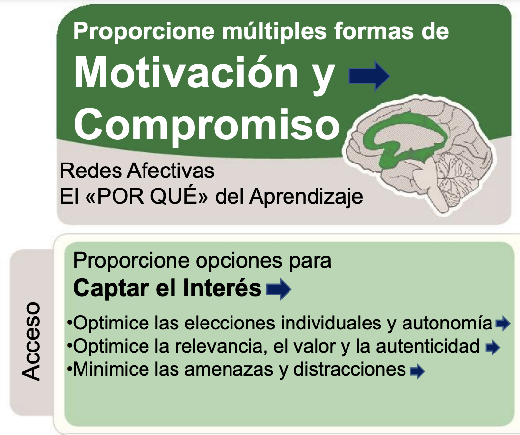 Casilla CAST - Formas de implicación