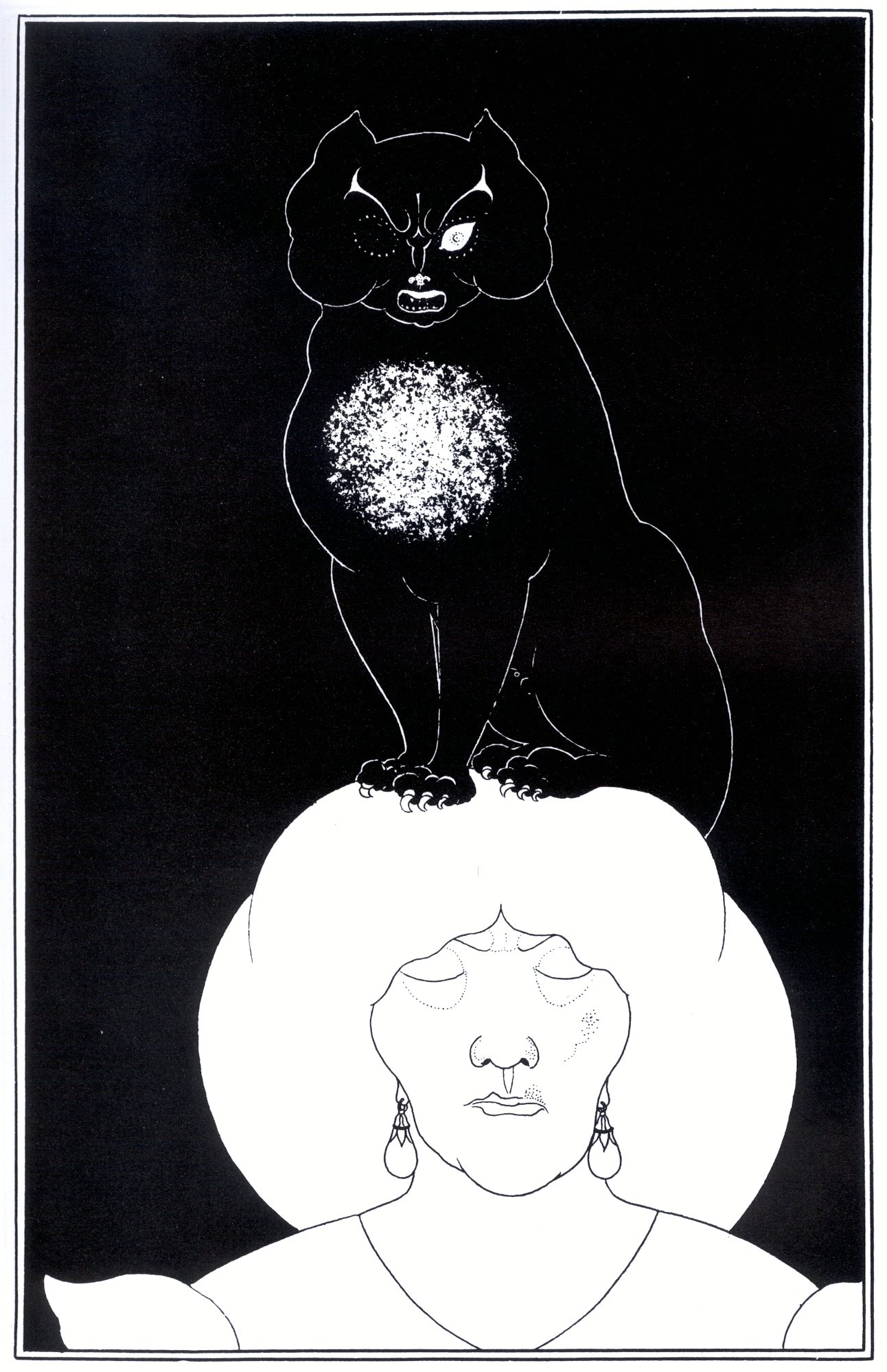 Gato