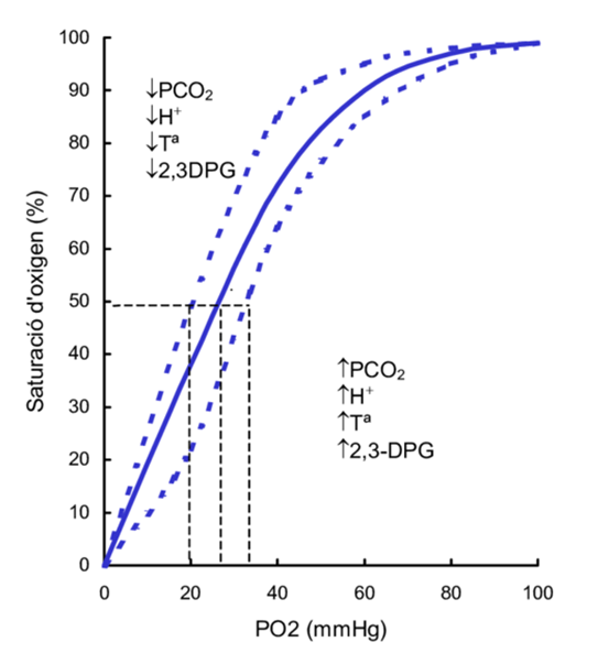 factors que influeixen la dissociació oxigen-hb. gràfic