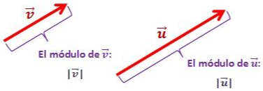 módulo vector