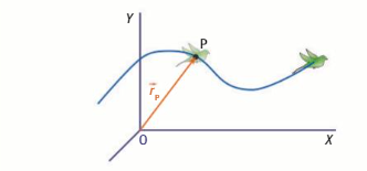 vector posición