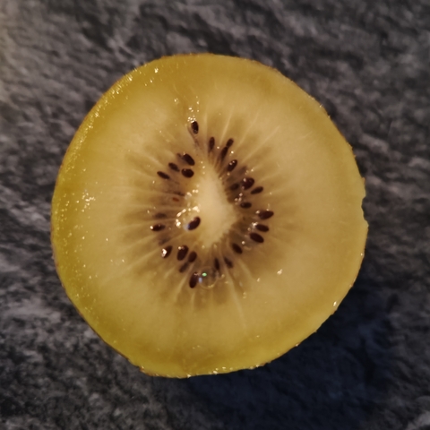 kiwi