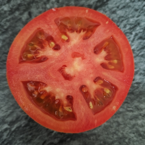 Tomate