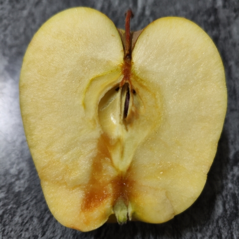 Manzana