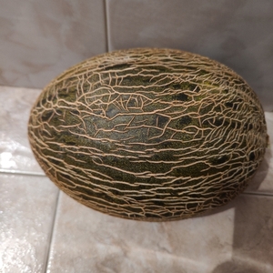 Melón