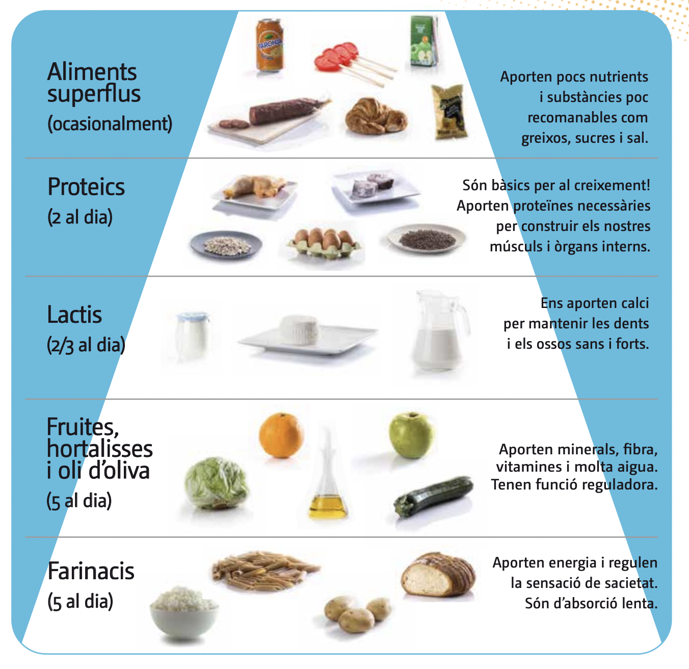 PIRÀMIDE DE L'ALIMENTACIÓ SALUDABLE