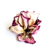 flors