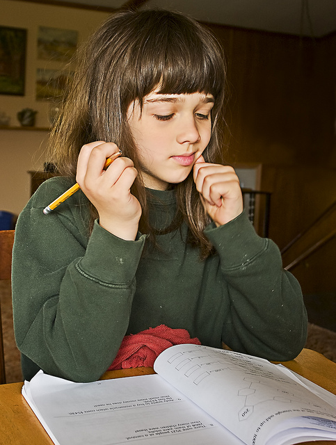 Home schooling image