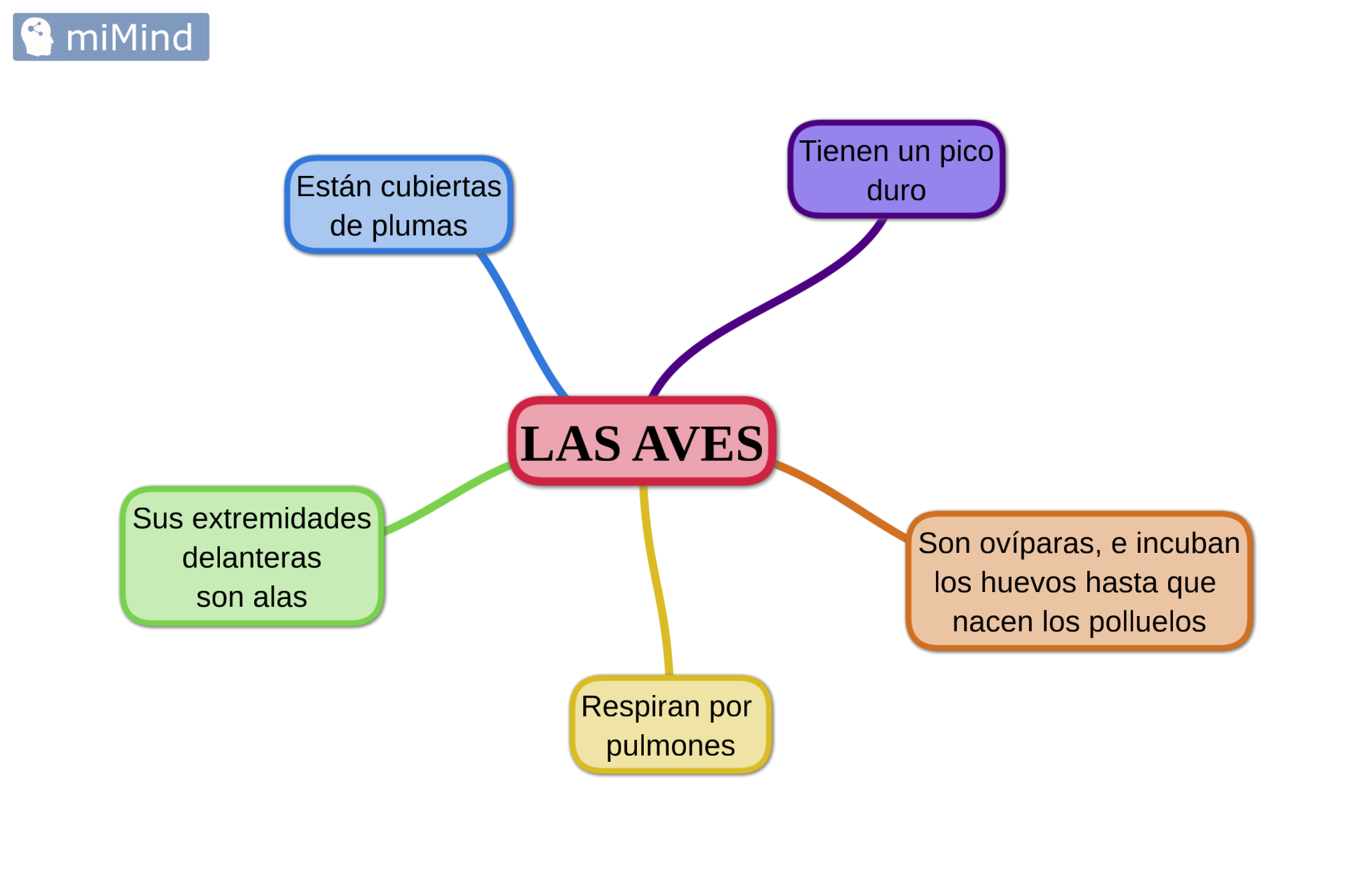 Las aves los vertebrados