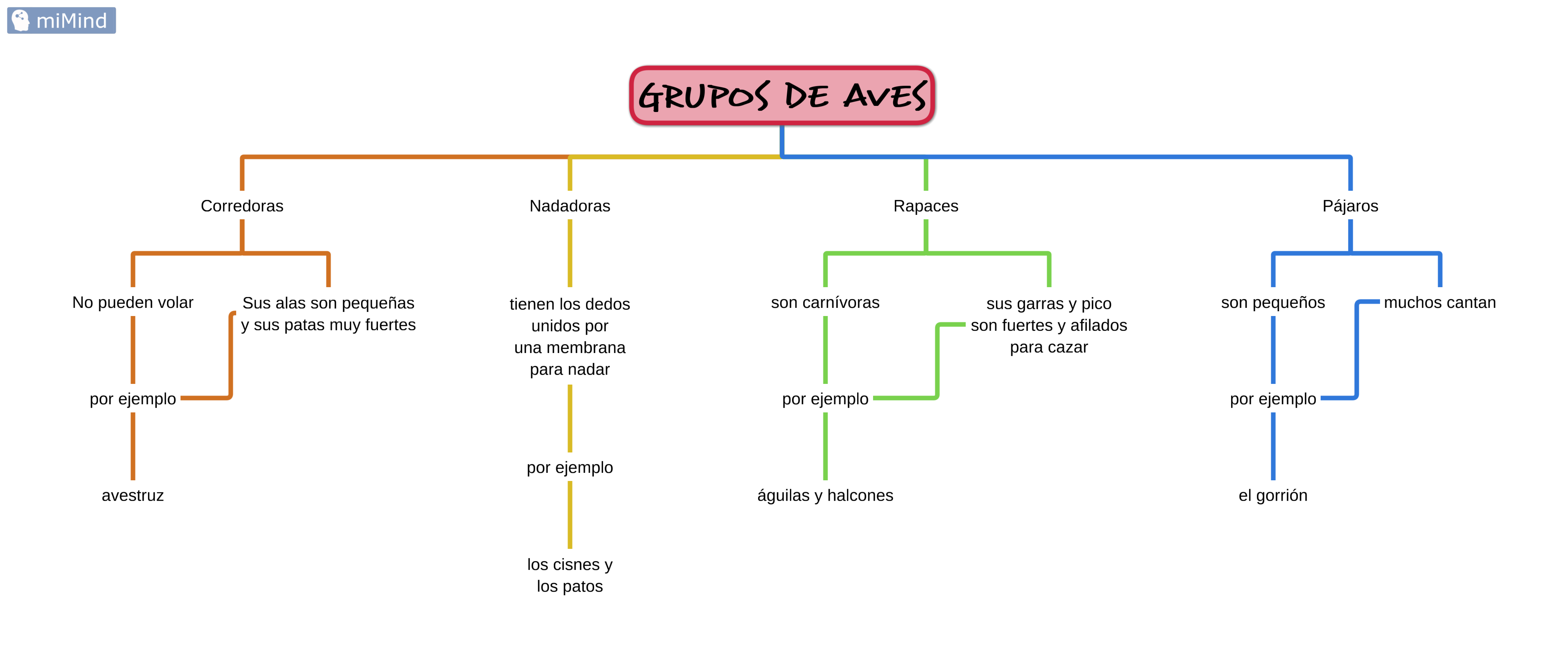 grupos de aves