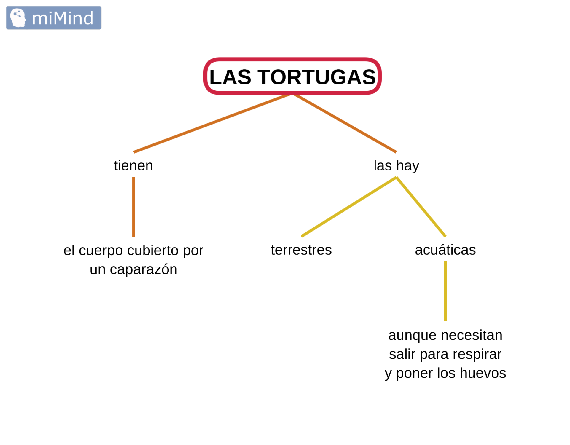 tortugas