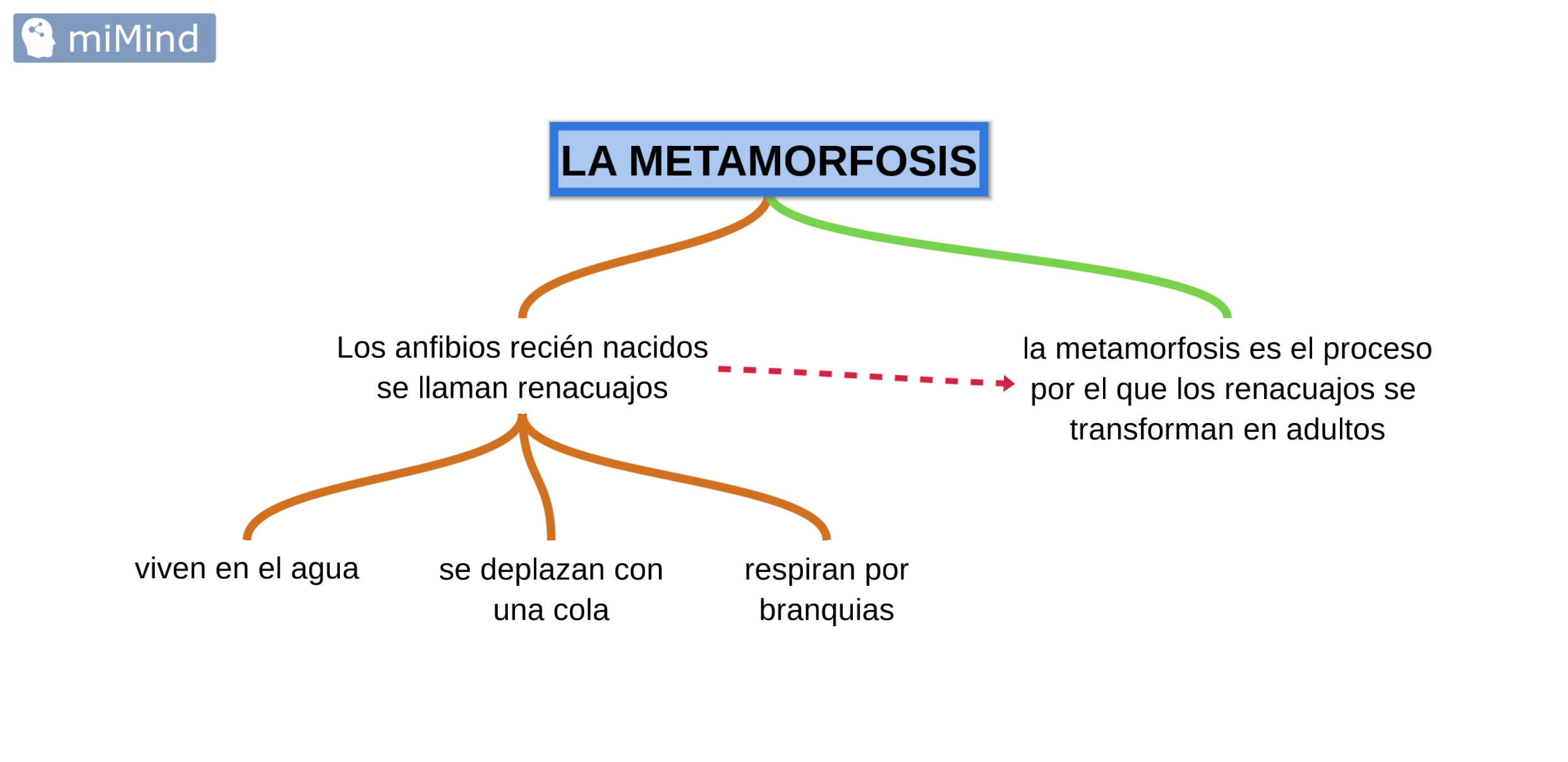 metamorfosis