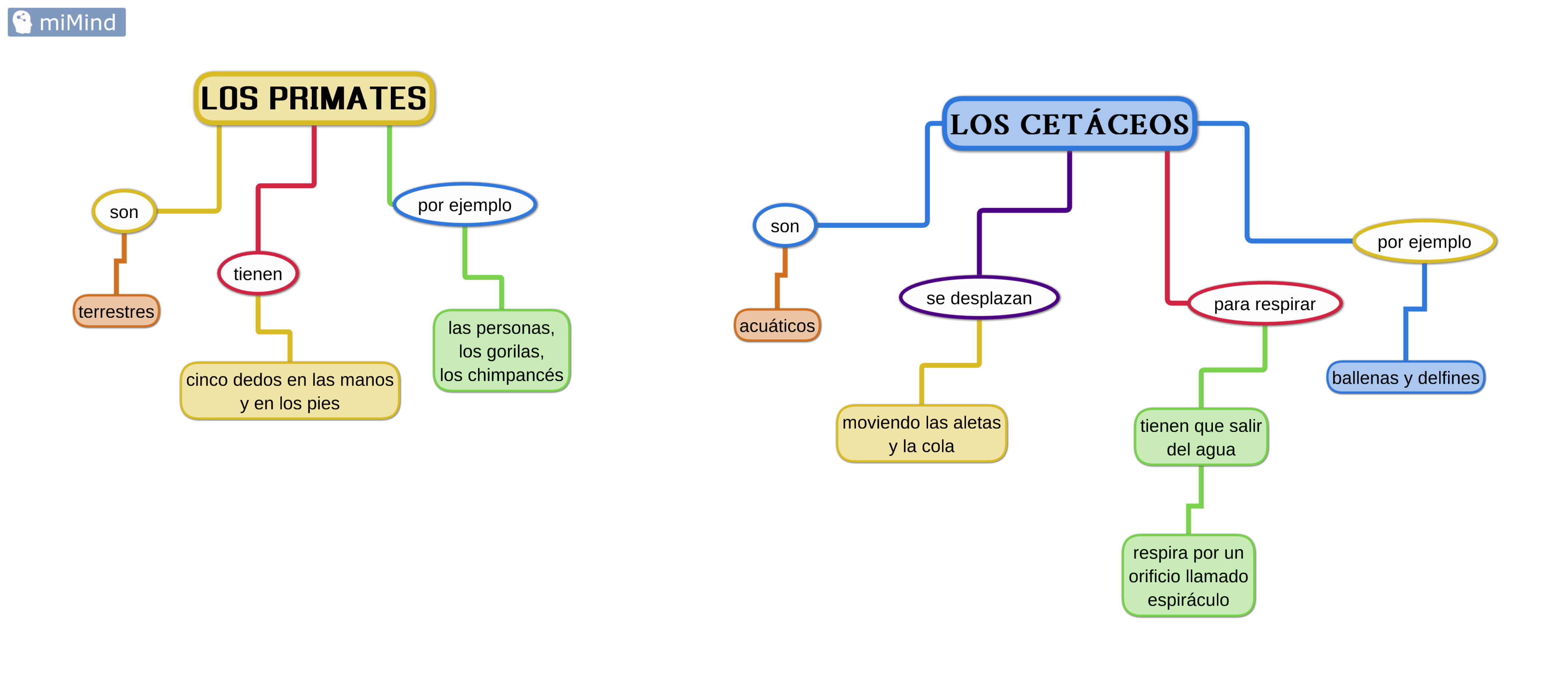 primates y cetáceos