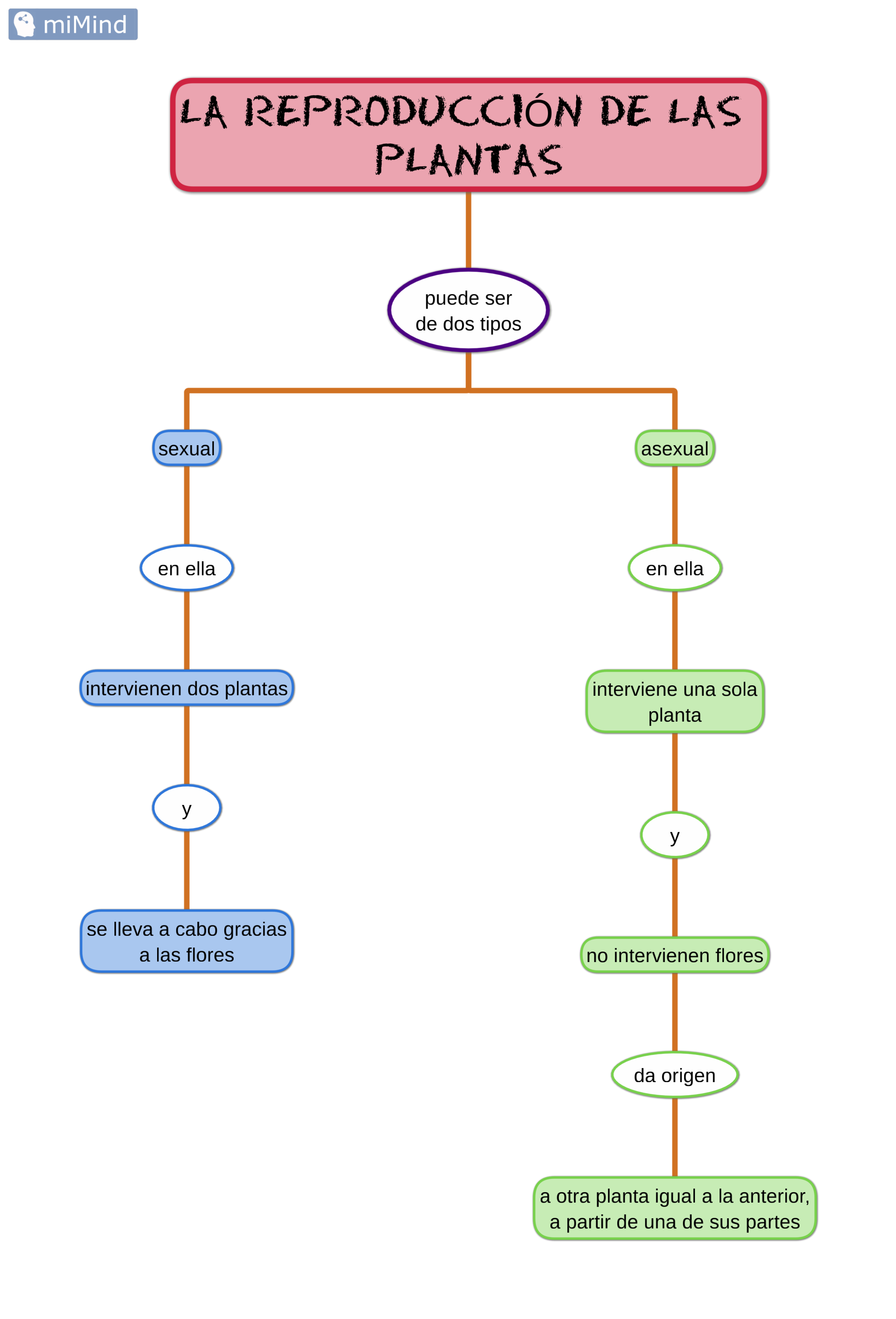 Mapa Conceptual Reproduccion Asexual Mapapapa Reveras 