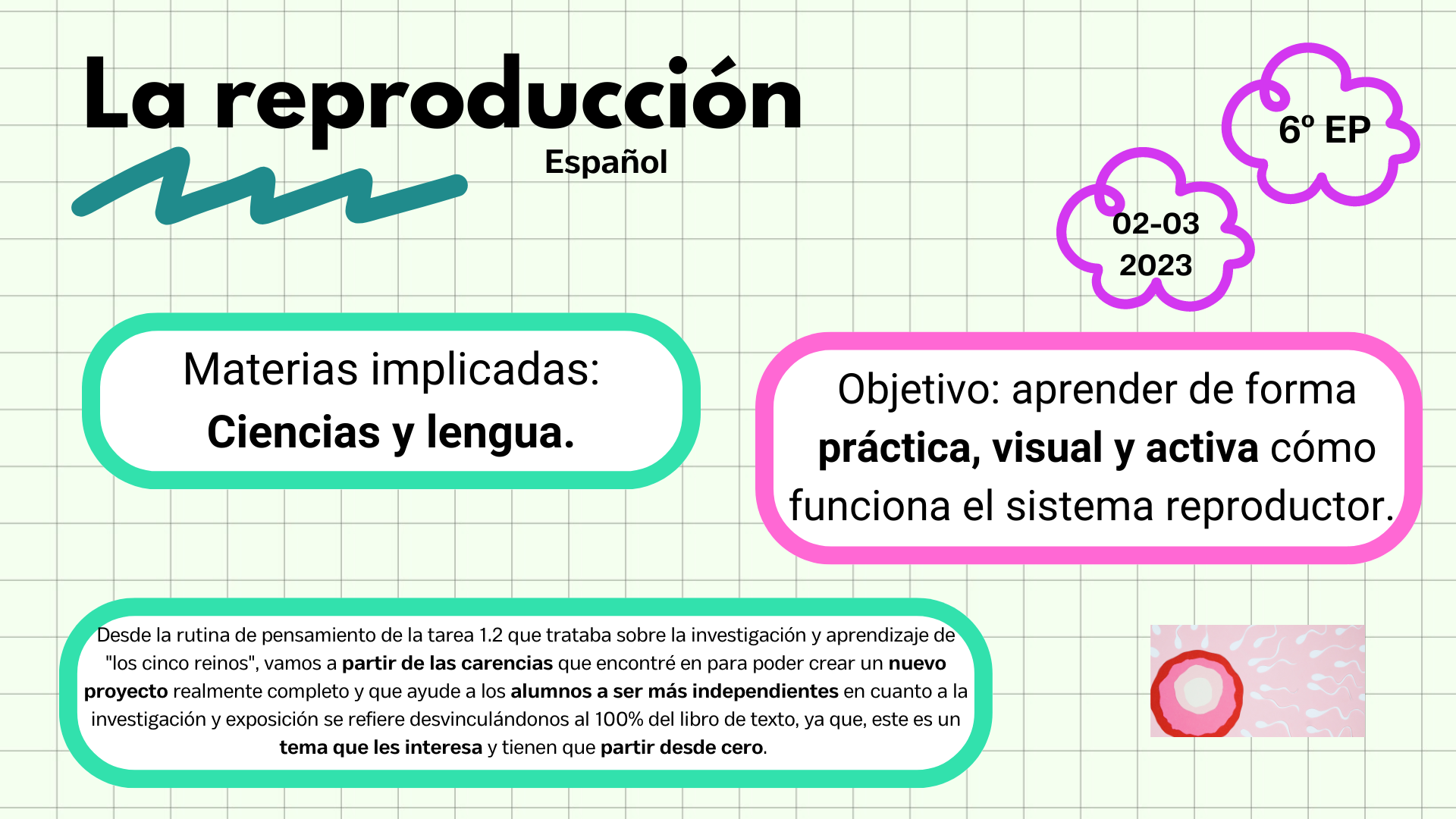 Temporalización, nivel 