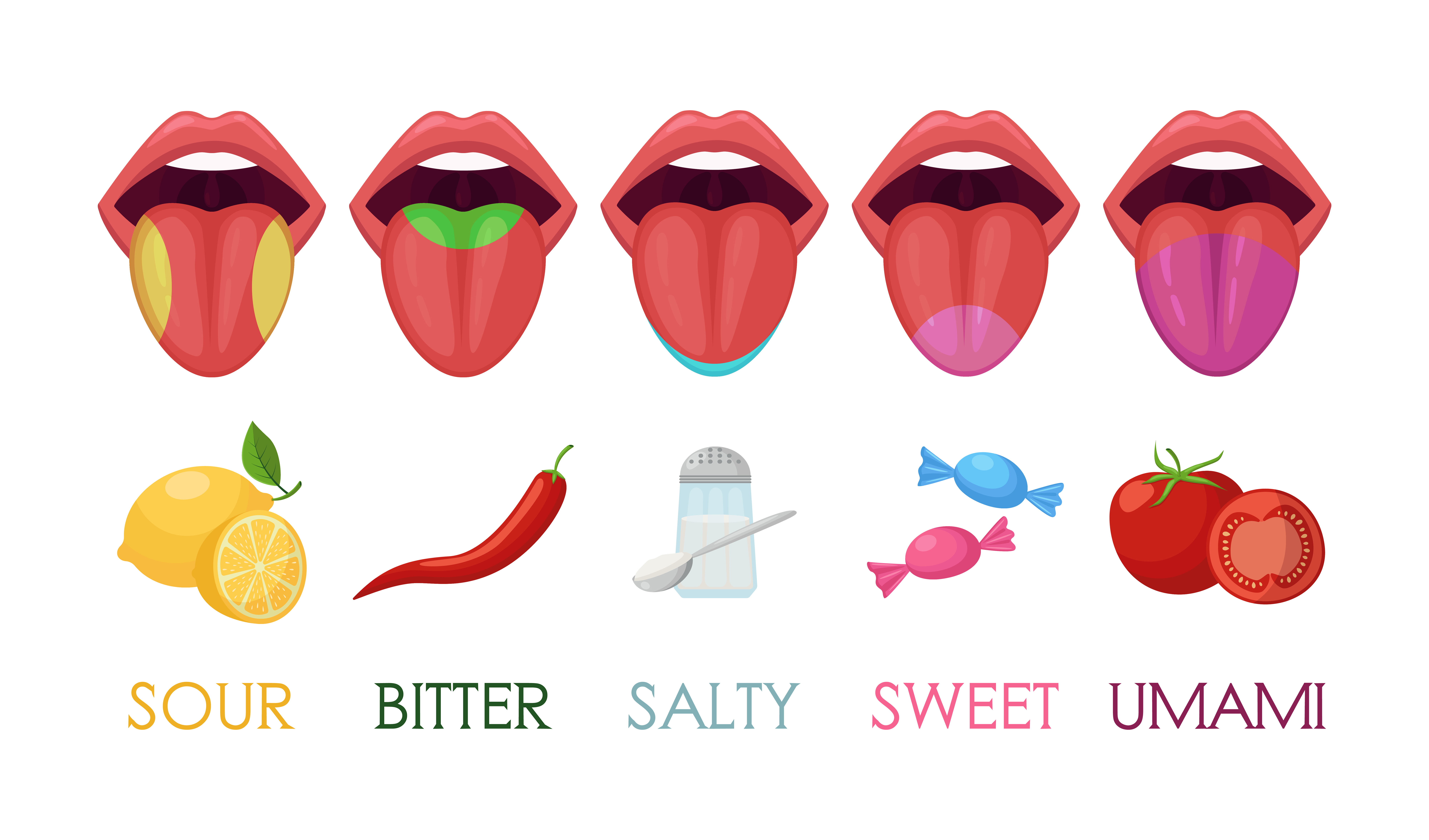 Sabores na lengua
