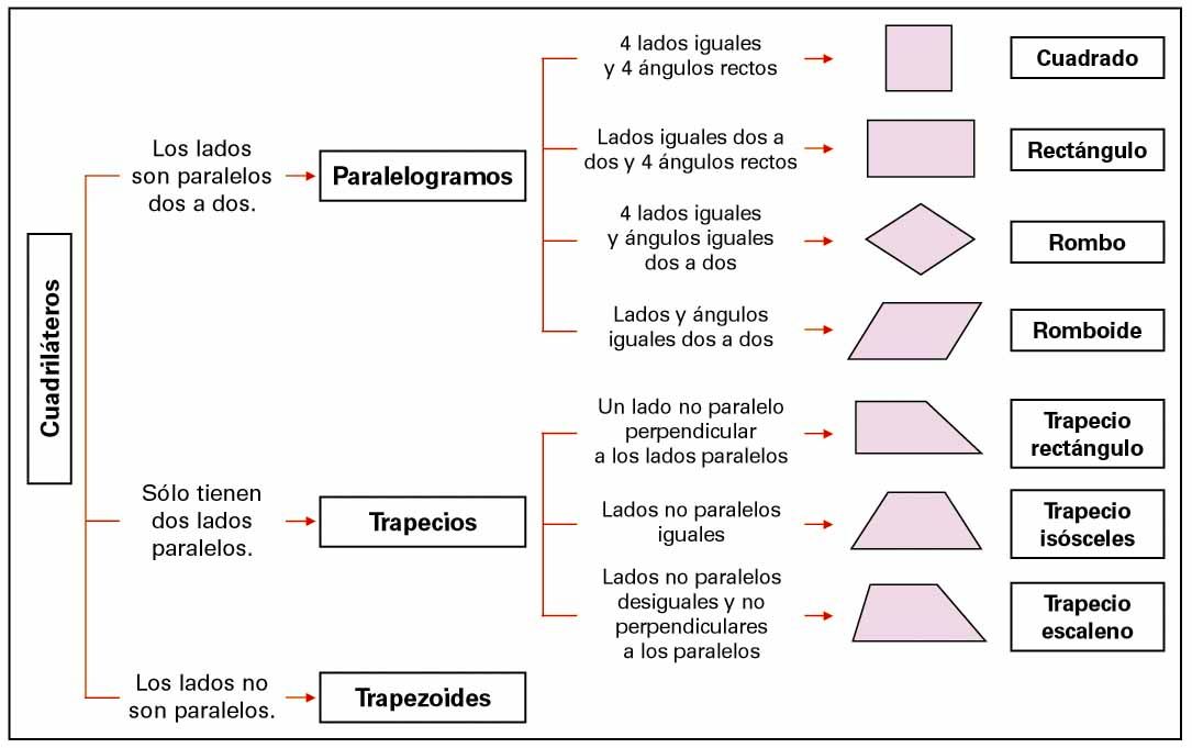 Cuadriláteros