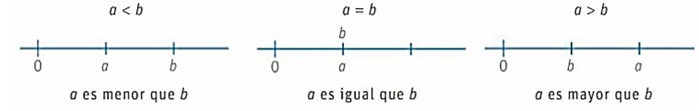 Naturales se ordenan